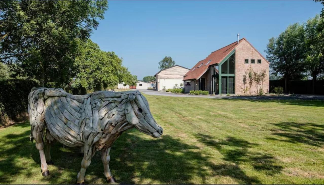 Vakantiewoning De Koeiendreef Vakantiehuis